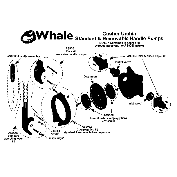 Whale Service kit Gusher Urchin