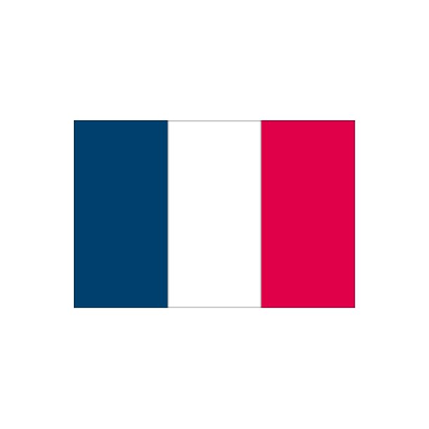 Gsteflag Frankrig trykt 30x45cm