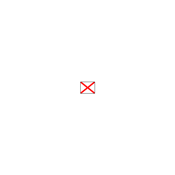 Signalflag vvet 30x45cm V